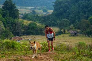 BIB: 1527
                            <button type="button" onclick="openModal(16010303)" class="btn btn-primary btn-sm float-right btn-popup" data-toggle="modal" data-target=".modal-high-quality">
                        <i class="fas fa-shopping-cart"></i> Add to Cart
                    </button>
                                            <button type="button" onclick="isThisMe(16010303, true)" class="btn btn-success btn-sm float-right btn-popup btn-isme hidden" data-toggle="tooltip" data-placement="bottom" title="นี่คือรูปของคุณใช่ไหม คลิกที่นี่เพื่อเอาเข้าอัลบั้ม">
                        <i class="fas fa-plus"></i> Add to album
                    </button>
                    <button type="button" onclick="isThisMe(16010303, false)" class="btn btn-warning btn-sm float-right btn-popup btn-isnotme hidden">
                        <i class="fas fa-ban"></i> Remove from album
                    </button>